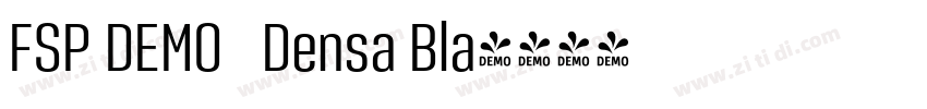 FSP DEMO   Densa Bla字体转换